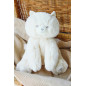 ODILON CHATON 25 CM