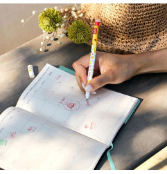 STYLO EFFACABLE POULE