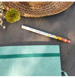 STYLO EFFACABLE POULE