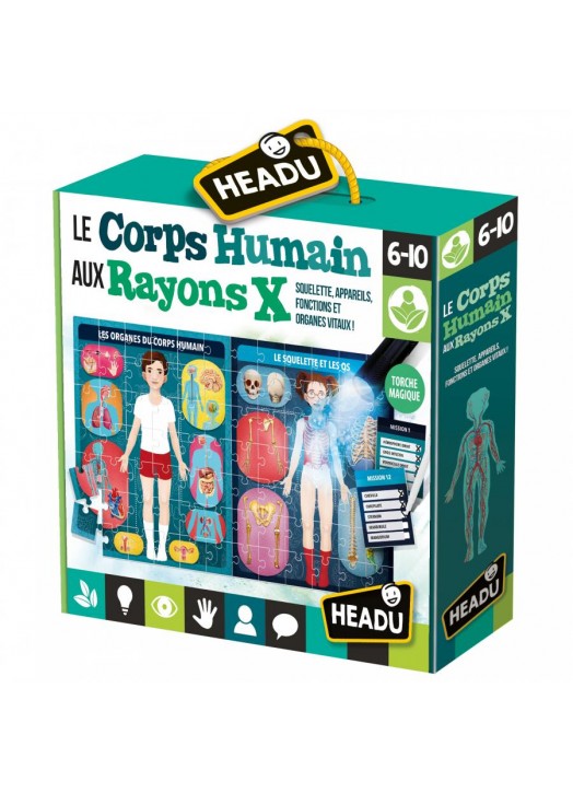 CORPS HUMAIN AUX RAYONS X