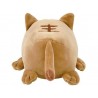 CHAT MUGI - TAILLE S