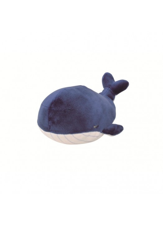 BALEINE KANAROA - TAILLE S