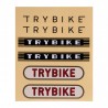 TRICYCLE/DRAISIENNE 2 EN 1 ROSE TRYBIKE